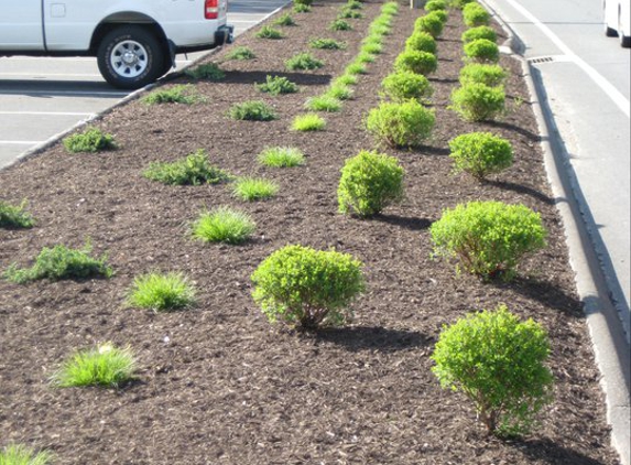 Riccio Landscaping - Monroe, CT