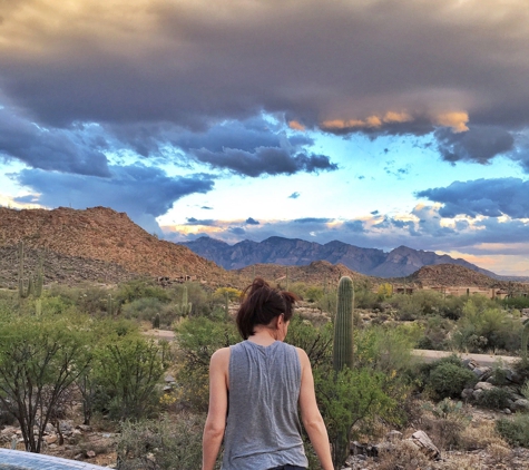 Dove Mountain Cleaners - Marana, AZ