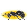 Snake River Pest Control gallery