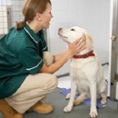 Flinn Veterinary Clinic - Pet Grooming