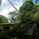 Parker Tree & Excavation Services - Tree Service