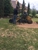 Garcia Professional Tree Service - Arborists