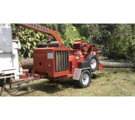 Steve Cairns Tree Service