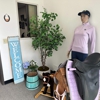The Dressage Pony Store gallery