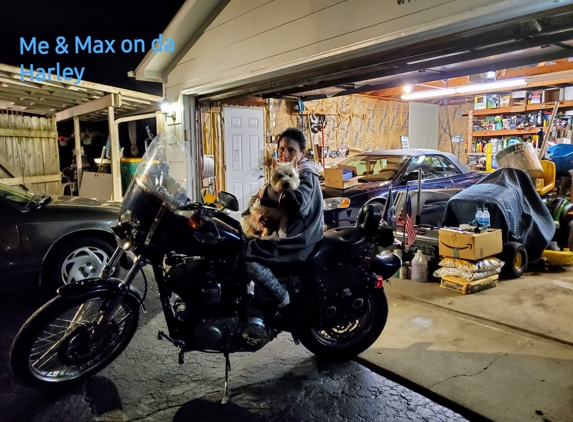 Dog Day Afternoon - Fox Lake, IL. Me & Max sitting on my Harley...