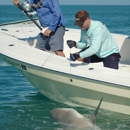 Chew On This Fishing Charters - Tourist Information & Attractions