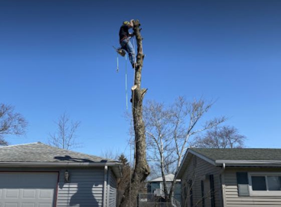 Clemons Tree Service