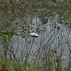 Lorain County Metro Parks