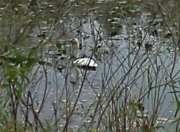 Lorain County Metro Parks - Columbia Station, OH