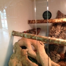 Reptile Finders - Pet Stores