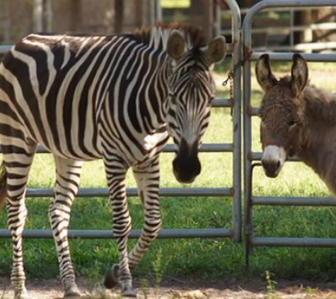 The Good Earth Farm and Foundation Inc - Loxahatchee, FL