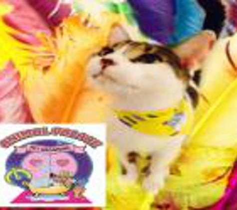 Animal Palace Pet Salon - Wellington, FL