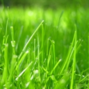 Marcial Lawn Care, LLC. - Lawn Maintenance