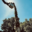 B&E Tree Service - Tree Service