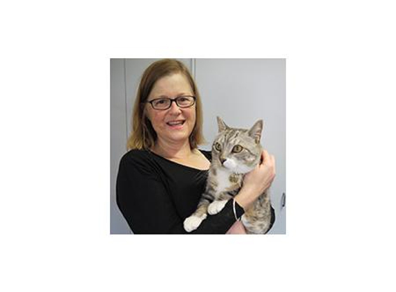 Earlwood Animal Hospital - Earlwood, NSW