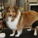 Sunshine Groomers - dog grooming - Dog & Cat Grooming & Supplies