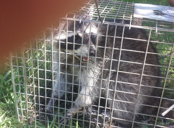 U.S.Animalcontrolfortworth - Grapevine, TX