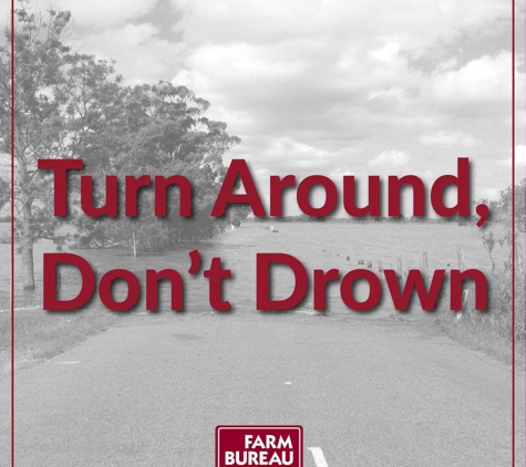 Farm Bureau Insurance - Darlington, SC