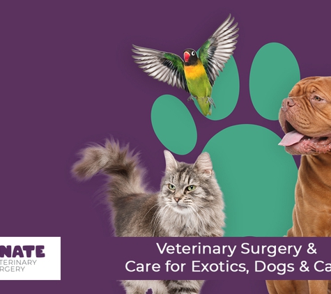 Passionate Paws Veterinary Surgery - Pialba, QLD. Veterinary Surgery & Care for Exotics, Dogs & Cats