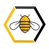 Bee Well Physical Therapy gallery