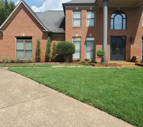 Diamond Lawn Care & Landscape LLC