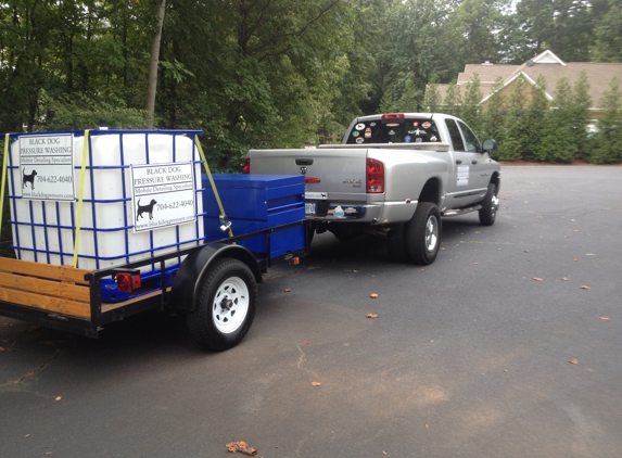 Black Dog Pressure Washing - Mooresville, NC