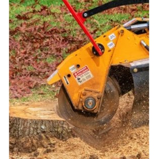 All About Tree Services QLD - Elanora, QLD