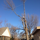 Bartsville Tree Service LLC