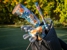 Ace of Clubs - East Mesa - Golf Equipment & Supplies