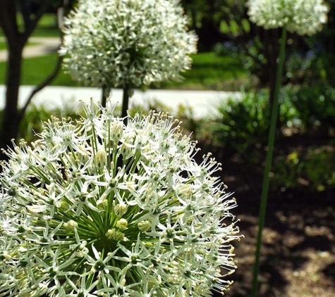 Toledo Botanical Garden - Toledo, OH