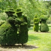 Topiary Park gallery