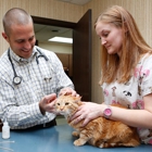 Omaha Animal Hospital