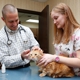 Omaha Animal Hospital