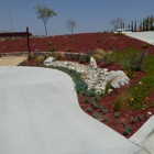 Olague Landscape & Maintenance