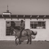 Boot Barn gallery