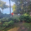 Bay & Mountain Tree Service.