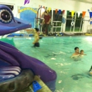 5 Cities Swim School - Swimming Instruction