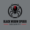 Black Widow Spider Security gallery