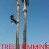 DANIEL'S TREE SERVICES gallery