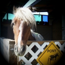 TLS Party ponies - Party & Event Planners