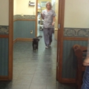 Oak Island Animal Hospital - Veterinarian Emergency Services