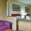 Comfort Suites gallery