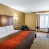 Comfort Inn & Suites gallery