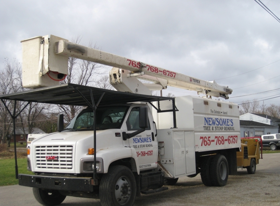 Newsome's Tree & Stump Removal - Dunkirk, IN