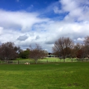 West Coast Equine Sports Therapy - Horse Transporting