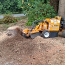 Triple R Stumpgrinding - Stump Removal & Grinding