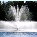 Turtle Fountains - Water Gardens