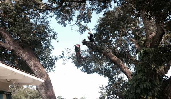 KDT Tree Service - Fern Park, FL