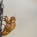 Modern Pest Control - Pest Control Equipment & Supplies