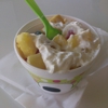 sweetFrog gallery